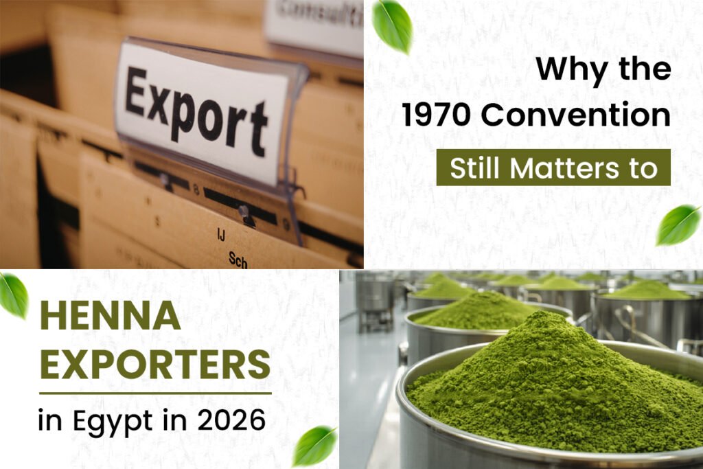henna exporters 1970 convention still matters in egypt.